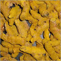 Indian Turmeric Bulbs