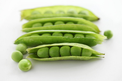 Chlorpyrifos