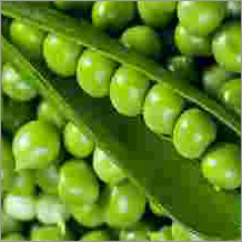Uniconazole Feed Additives