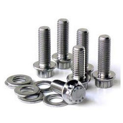 Stainless Steel Fastners