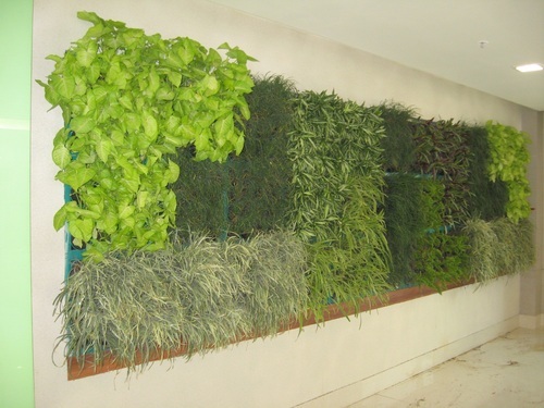 Eco Decorative Wall