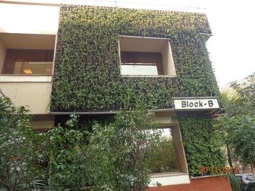 Bio Green Wall