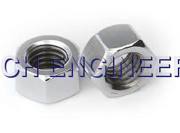 Stainless Steel Nuts