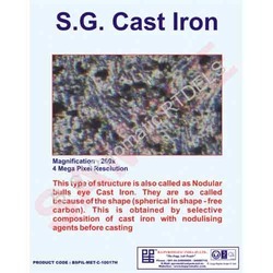 Reference Material For Metallographic Lab - Cast Iron, 4MP Resolution, 250x Magnification | Nodular Structure, Free Carbons, Selective Composition