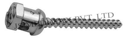 Polyaxial Screw