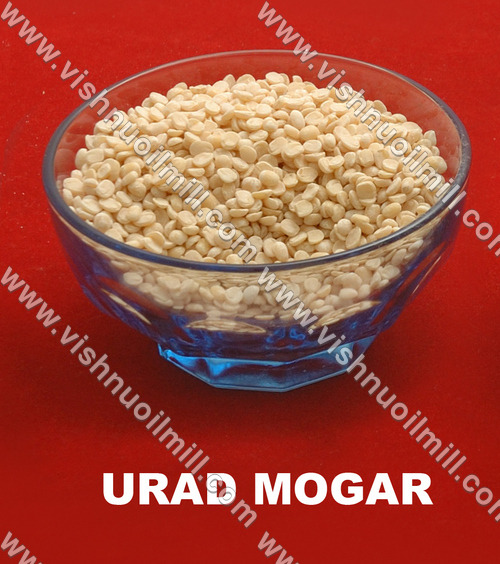 Urad Mogar