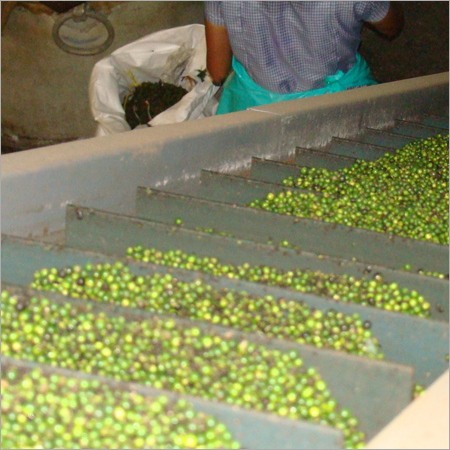 Drag Chain Conveyor