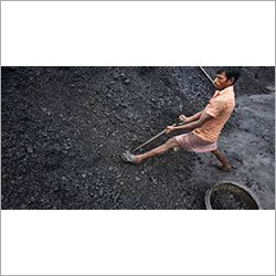 Coal