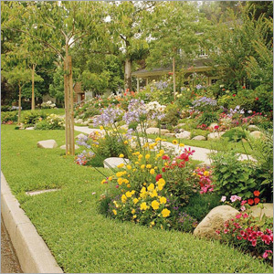 Landscaping Designing