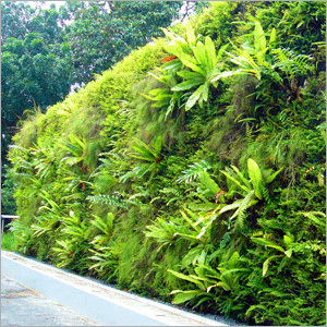 Roadside Landscaping