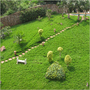 Park Landscaping Construction