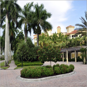 Outdoor Landscaping Design