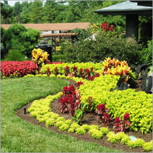 Flower Garden Landscaping