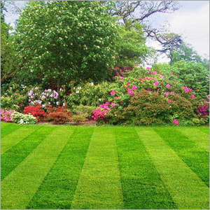 Landscape Maintenance