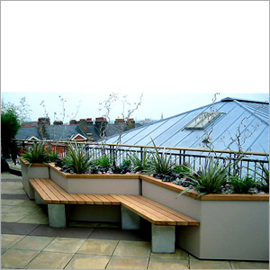Rooftop Deck Beautiful Plants Rock Garden