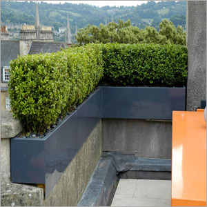 Rooftop Garden Design