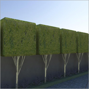 Left Hand Side View 3D