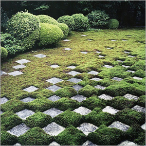 Japanese Garden Landscaping