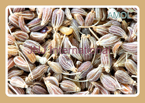 ANISE OIL