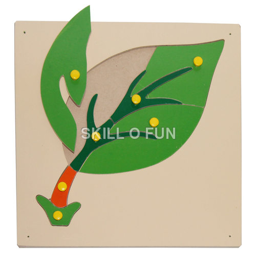 Montessori Equipments