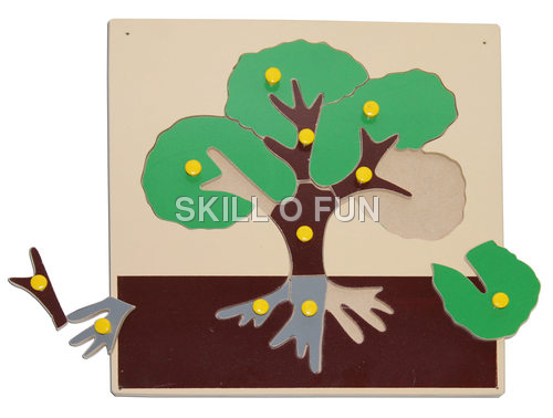 Montessori Equipments