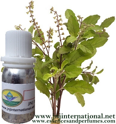BASIL OIL