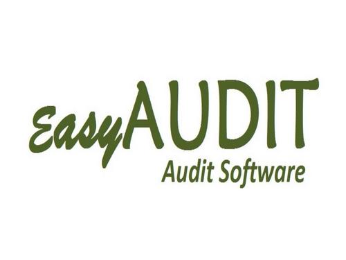 Audit Report Software
