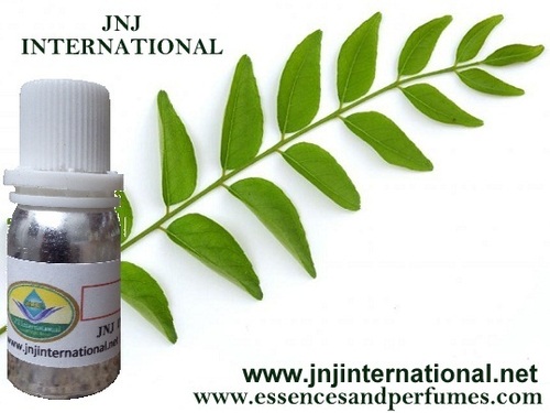 CURRY LEAF OIL