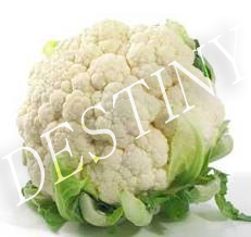 Cauliflower
