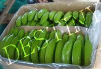 Banana Green 