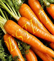 Carrot