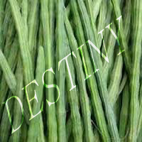 drumsticks