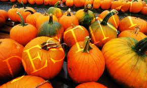 pumpkins
