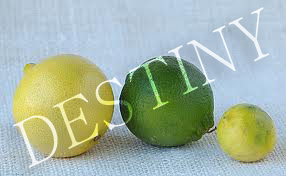 Sweet Lime