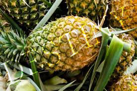 Pine apple