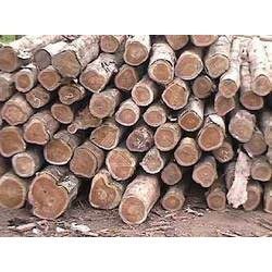 Teak Wood Round Logs
