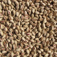 Akbari Pistachio