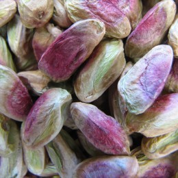 Pista Kernel