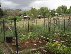 Residential Plots By VASHISTHA PROPERTIES