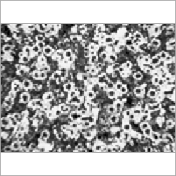 Customised Image Analysis System