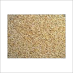Sessame Seed