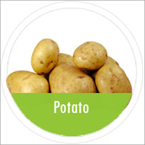 Potato
