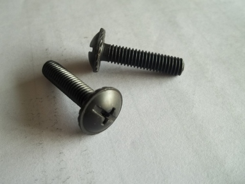 Mushroom Slotted Head Screw