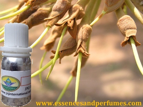 SUGANDH KOKILA - Glass Bottle, 10ml, Amber | Aromatic, Cooling, Medicinal, Cosmetic, Massage Oil