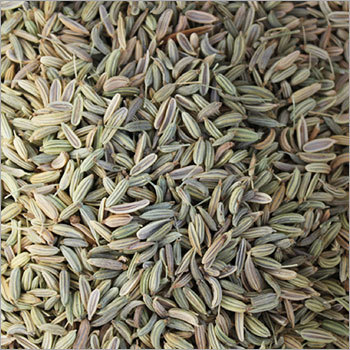 Fennel Seeds - Small Elongated, Greenish-Brown | Aromatic, Digestive Aid, Culinary Uses, Natural Flavor, Low Moisture
