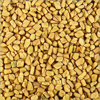Fenugreek Seeds