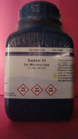 Sudan III
