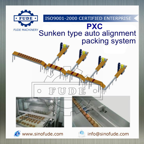 Sunken Type Auto Alignment Packing Machine By SHANGHAI FUDE MACHINERY MANUFACTURING CO., LTD.