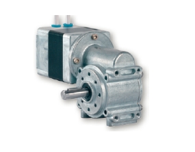 Brushless DC motor