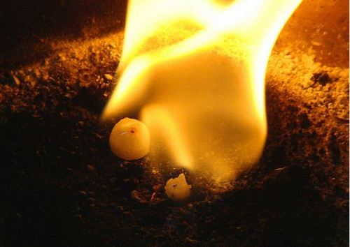 Camphor Tablet - Pure Camphor, Variable Size | Strong Smell, Eco-Friendly, Highly Flammable, Easy Usage